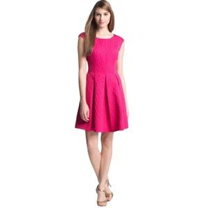 Eliza J Hot Pink Jacquard Cap Sleeve Fit & Flare Dress Women's 8